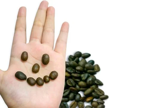 Medium roasted coffee beans, cartoon image (smiling person), on both palms Stock-Fotos