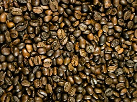 Medium roasted coffee beans (Full City or American ), full area, Фото