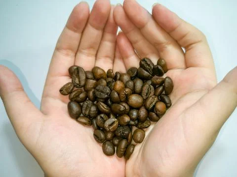 Medium roasted coffee beans, heart shape, on both palms, isolated. Stock-Fotos