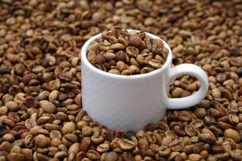 Medium roasted coffee beans with white  porcelain cup Foto stock