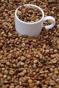 Medium roasted coffee beans with white  porcelain cup Foto stock