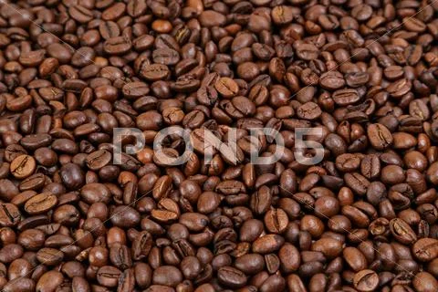 Medium Roasted Fresh Coffee Beans