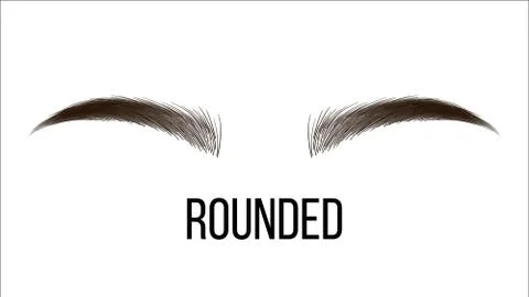 Medium Rounded Vector Hand Drawn Brows Shape Stock Illustration