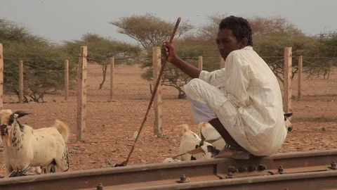 Medium Shot African Boy Seudt on the tracks, Eritrea Stock Footage 92182221