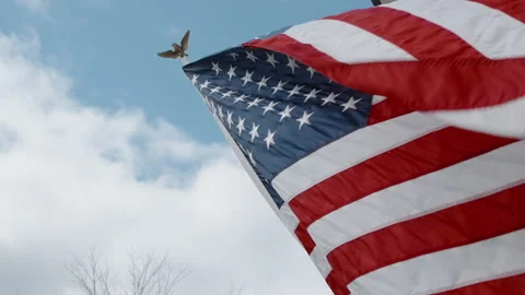 Medium shot of the American Flag Waving in the Wind Video stock 133019045