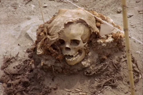 Medium-shot of an archaeological worker carefully brushing dirt from a site Stockbeeldmateriaal 339278