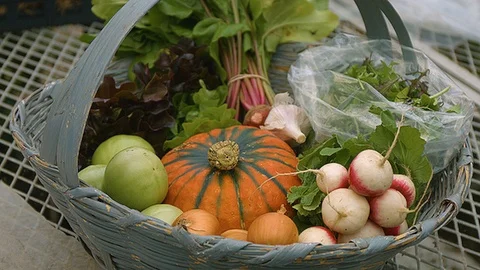 Medium shot of a basket of vegetables Stock Footage 86004666