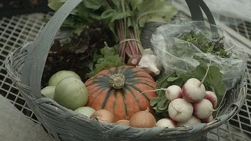 Medium shot of a basket of vegetables Stock Footage 86004672