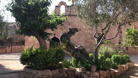 Medium Shot behind trees of Ayia Napa Old Church Stock Footage 90835037