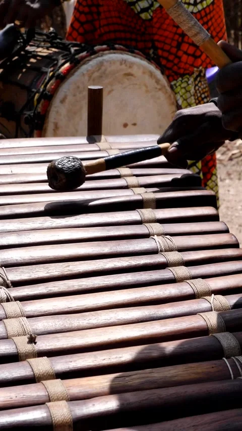 Medium shot of black man playing Balafon instrument Stock Footage 230663177