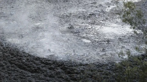 Medium shot of boiling mud pools in Rotorua, New Zealand Stock Footage 89594443
