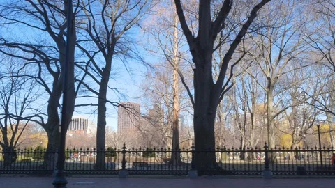 Medium-shot Boston Common with Boston Cityscape in Background Stock Footage 92645724