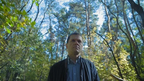 Medium Shot, Bottom View Man Walking Around Autumn Forest Stock Footage 97706525