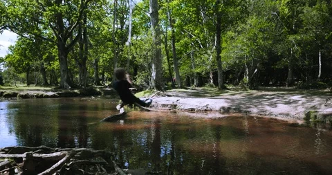 Medium shot boy on rope swing over forest river Stock Footage 116045265
