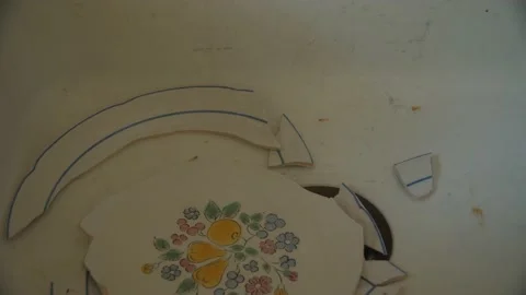 Medium Shot of a Broken Plate in a Porcelain Sink Stock Footage 199500000