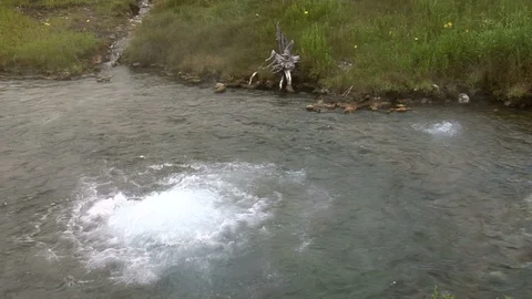 Medium shot bubbling thermal pool - Yellowstone NP Video stock 90378657