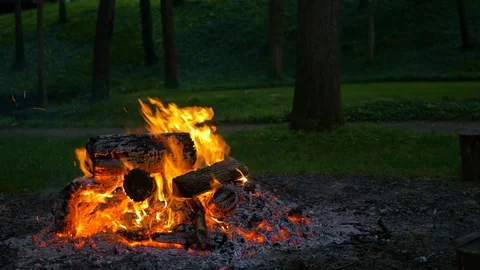 Medium Shot of Campfire in the Woods Stock Footage 85183149