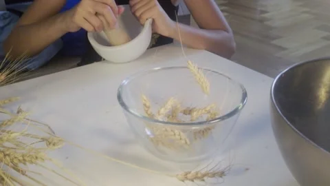 Medium Shot of Child Grinding Harvested Wheat in Mortar Pestle for 3rd Grade Stock Footage 341879824