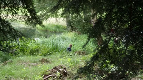 Medium shot child walks on a path in the forest. 库存影片 141319728