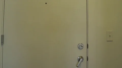 Medium shot of a couple moving in a new apartment Stock Footage 76539313