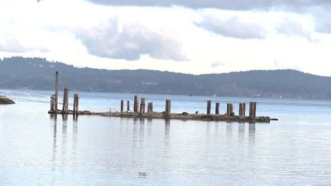 Medium shot of dock on ocean Video stock 75239799
