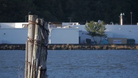 Medium Shot Dock Wood Chehalis River Aberdeen Washington Vídeos de archivo 95140152