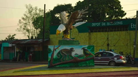 Medium shot of eagle roundabout Stock Footage 338167731