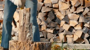 Medium Shot of an Energetic Senior Man Chopping Firewood in Slow Motion Stock Footage 85643000