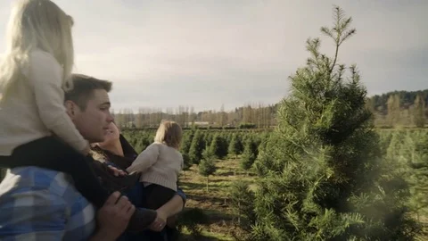 Medium shot of a family walking at a tree farm 動画素材 73067488