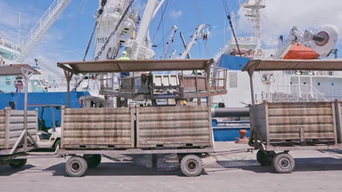 Medium shot: Fisherman offloading fish into a container ready for transport Stock Footage 244394976