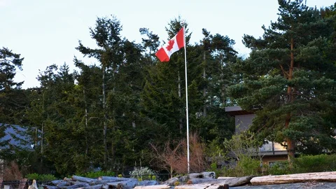 Medium shot of flag pole with Canadian flag in light wind with trees in Stock Footage 129658824