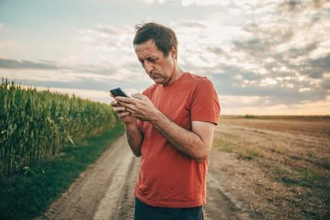 Medium shot of a focused middle-aged man standing on a dirt road between fi.. Stock Photos