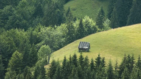 Medium shot of a Forest Cabin Stock Footage 94960973