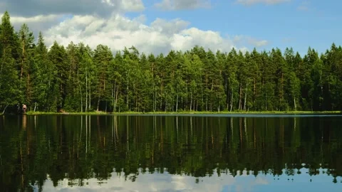 Medium shot of forest reflection on a crystal lake in sunny day Stock Footage 147357869