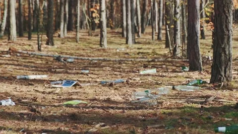 Medium shot of Forests' pollution with garbage Stock Footage 157592967