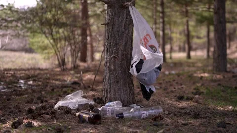 Medium shot of Forests pollution with garbage hanged onto a tree 스톡 동영상 241727275
