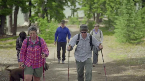 Medium shot of friends hiking with their pets Stock Footage 59082709