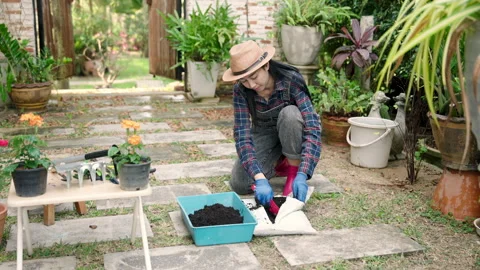 Medium Shot, Gloved hands Asian woman, there was pot dirt nearby, Stock Footage 264892672