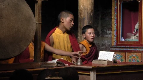 Medium shot of a group of young Buddhist monk praying inside the temple. Stock Footage 113973317