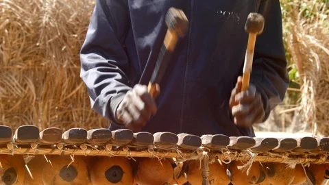 Medium shot of hands of black man playing Balafon instrument Stock Footage 113119833