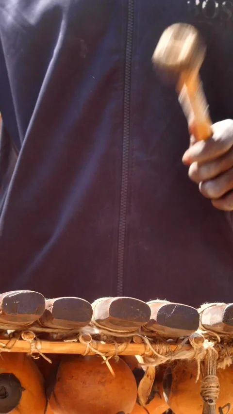 Medium shot of hands of black man playing Balafon instrument Stock Footage 230663295