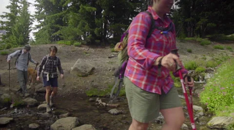 Medium shot of hikers crossing stream Stock Footage 59081455