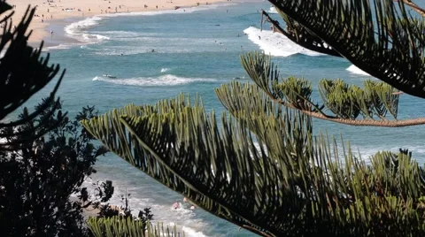 Medium shot from on a hill of Bondi Beach at a distance Stock-Footage 59618186