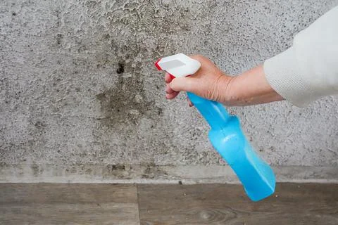 Medium Shot Horizontal View of Mold Removal on Wall Foto stock