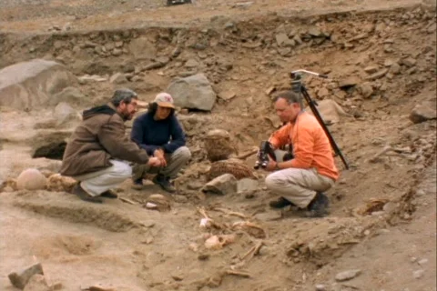 Medium-shot of human bones lying in an archeological site. Stockbeeldmateriaal 339279