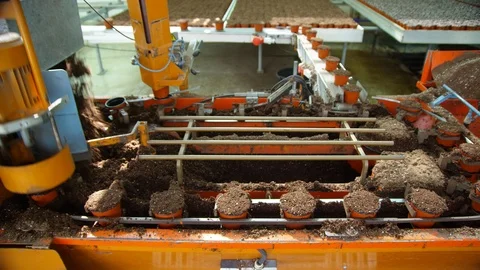 Medium Shot, Lockdown, 10 Seconds Or Greater, Flower Pot, Agriculture, Indoors, Video stock 95861815