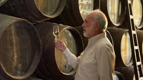 Medium Shot, Lockdown, 20 Seconds Or Greater, Standing, Wine Glass, White Wine, Stock Footage 94021378