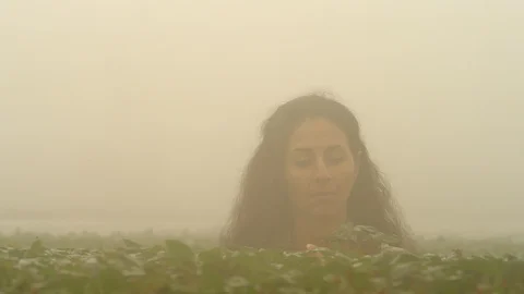 Medium Shot, Lockdown, 20 Seconds Or Greater, Agriculture, Working, Indoors, Stock Footage 95824227