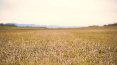 Medium shot of man riding a bicycle in the countryside, Croatia. Stock Footage 127220523