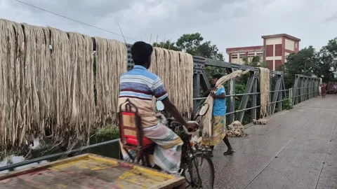 Medium Shot Of Man Riding Van On Bridge In Cloudy Weather In Bangladesh Stock Footage 340535669